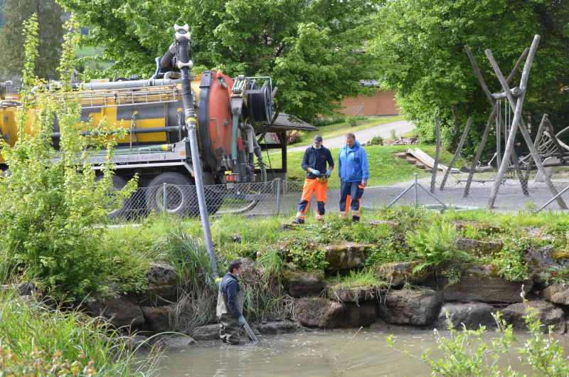 Dergetenweiher Reinigungsaktion