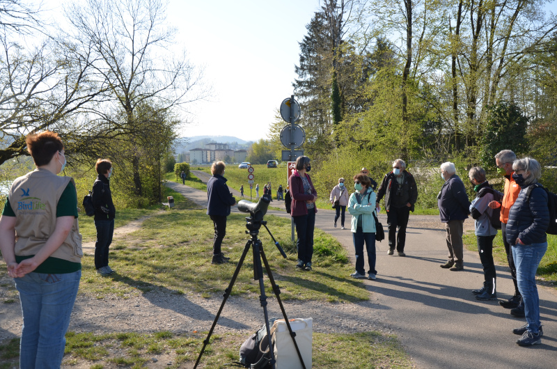 Exkursion – Klingnauer Stausee