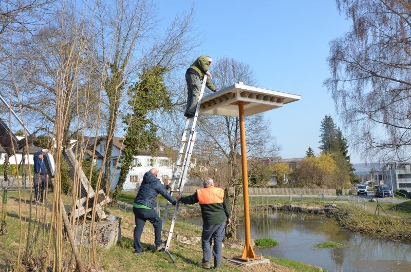Mitglieder montieren das Dach auf dem fertig aufgestellten Schwalbenturm
