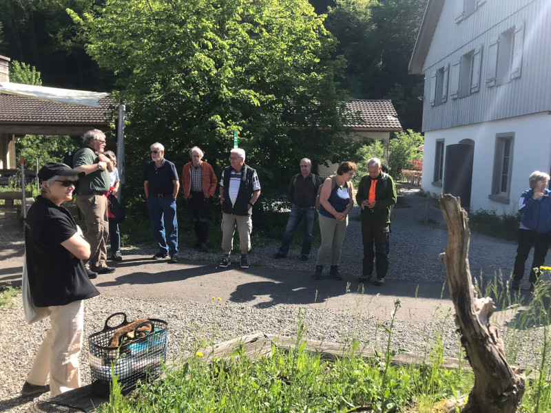 Besuchergruppe trifft sich im Sihlwald