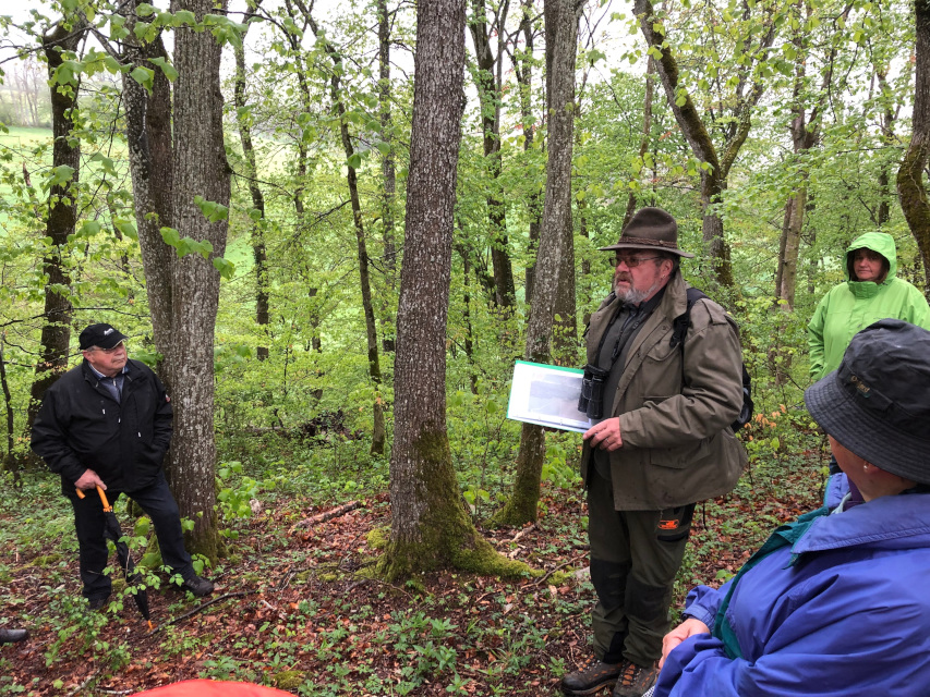 Referent Urs Büchi erklärt Pflanzen am Waldrand
